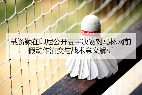 dai-zi-ying-zai-yin-ni-gong-kai-sai-ban-jue-sai-dui-ma-lin-wang-qian-jia-dong-zuo-yan-bian-yu-zhan-shu-yi-yi-jie-xi-2-569.jpg