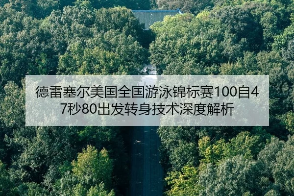 de-lei-sai-er-mei-guo-quan-guo-you-yong-jin-biao-sai-zi-miao-chu-fa-zhuan-shen-ji-shu-shen-du-jie-xi-2-554.jpg