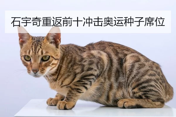 石宇奇重返前十冲击奥运种子席位